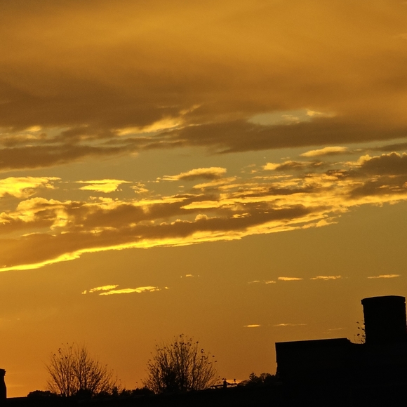 Meet your Posher, Jessica - Picture 2 of 2